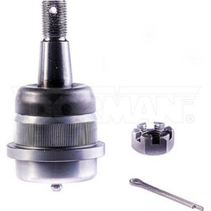 import placeholder for 9901368770861