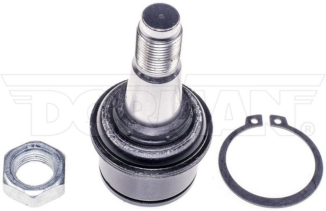 import placeholder for 9901374505261
