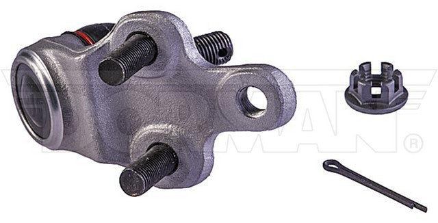 import placeholder for 9901616628013