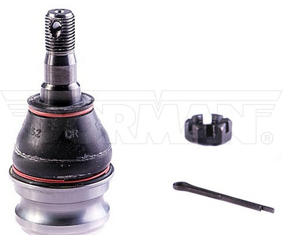 import placeholder for 9901315981613