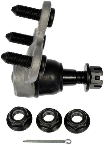 import placeholder for 9901831881005