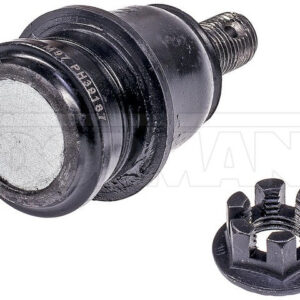import placeholder for 9901776437549