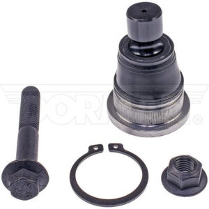 suspension ball joint dorman premium chassis bj69225xl
