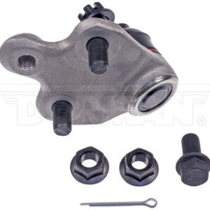 import placeholder for 9901418610989