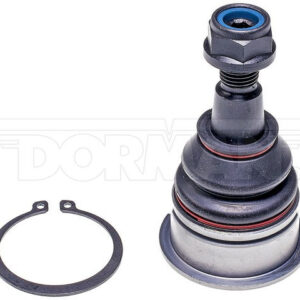 suspension ball joint dorman premium chassis bj81016xl