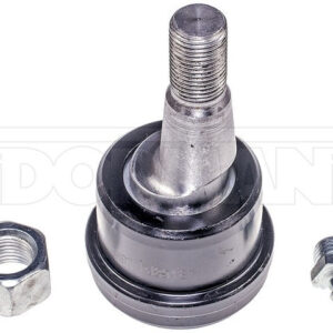 import placeholder for 9901375521069
