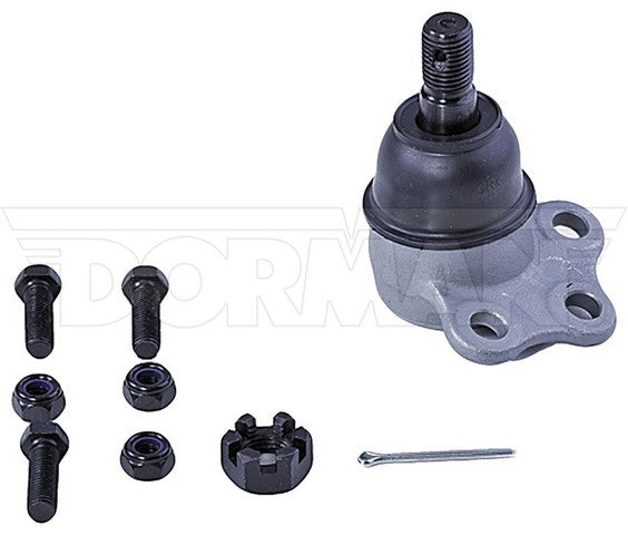 import placeholder for 9901362020653