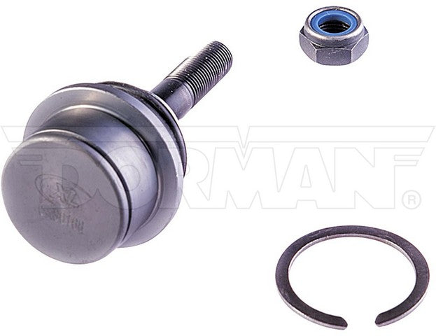 suspension ball joint dorman premium chassis bj85035xl