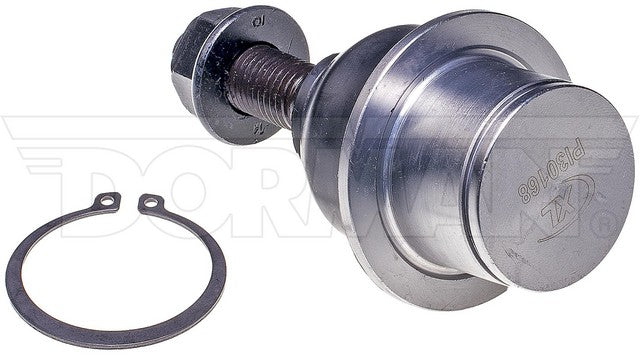 import placeholder for 9901497286957
