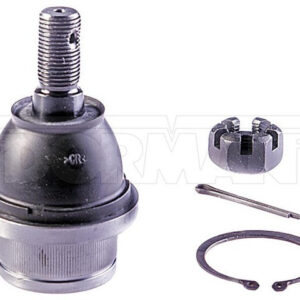 import placeholder for 9901517504813