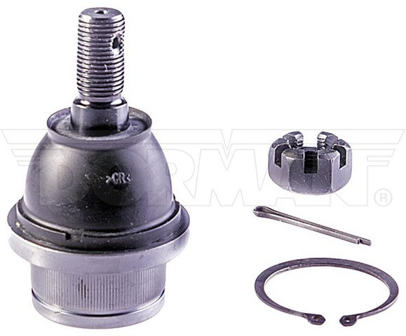 import placeholder for 9901517504813