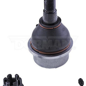 import placeholder for 9901404619053