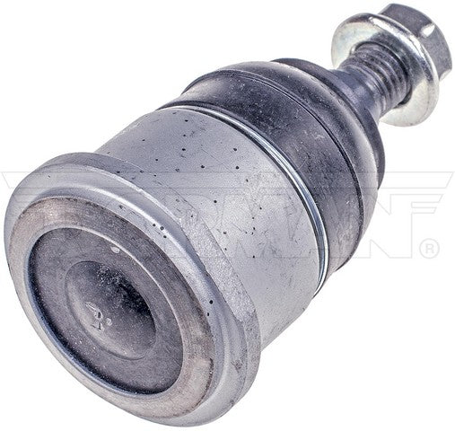 import placeholder for 9901396787501