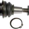 import placeholder for 9901817168173