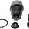 import placeholder for 9901739016493
