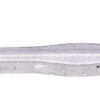 import placeholder for 9901811663149