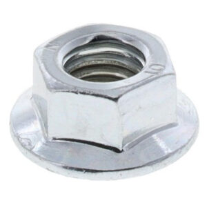 import placeholder for 9901867630893