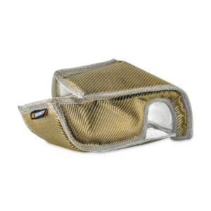 import placeholder for 10090