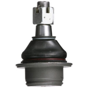 import placeholder for 9900956385581